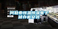 阿勒泰恒温恒湿电子储存柜安装
