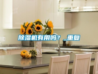 行业新闻除湿机有用吗？_重复