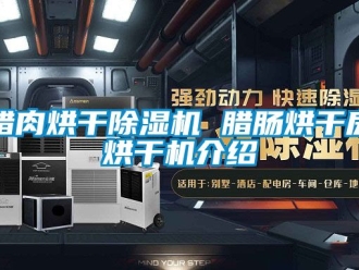 行业新闻腊肉烘干除湿机 腊肠烘干房烘干机介绍