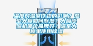 湿度对温室作物的影响？温室大棚如何除湿？大棚除湿机哪个品牌好？温室大棚里使用除湿