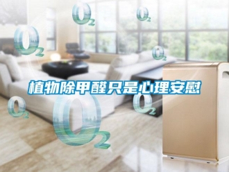 知识百科植物除甲醛只是心理安慰