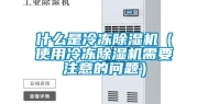 什么是冷冻除湿机（使用冷冻除湿机需要注意的问题）