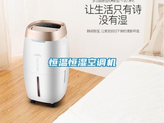 行业新闻恒温恒湿空调机