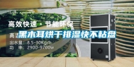 黑木耳烘干排湿快不粘盘