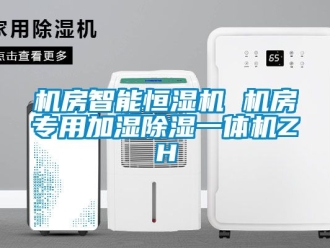 知识百科机房智能恒湿机 机房专用加湿除湿一体机ZH