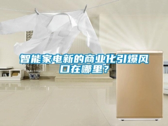 知识百科智能家电新的商业化引爆风口在哪里？