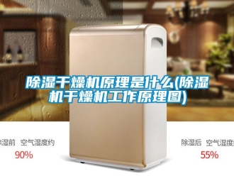 企业新闻除湿干燥机原理是什么(除湿机干燥机工作原理图)