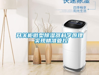 行业新闻开关柜微型除湿器科学原理 实现精准管控
