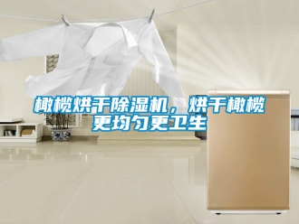 行业新闻橄榄烘干除湿机，烘干橄榄更均匀更卫生