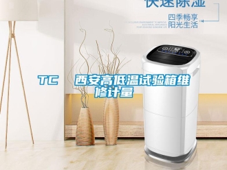常见问题TC  西安高低温试验箱维修计量