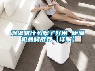 企业新闻除湿机什么牌子好用 除湿机品牌推荐【详解】