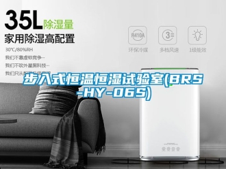 知识百科步入式恒温恒湿试验室(BRS-HY-06S)