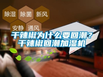 企业新闻干辣椒为什么要回潮？干辣椒回潮加湿机