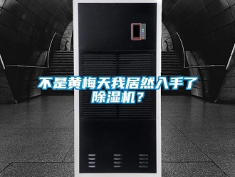 企业新闻不是黄梅天我居然入手了除湿机？