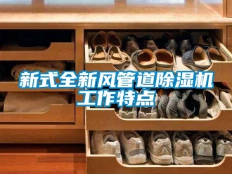 知识百科新式全新风管道除湿机工作特点