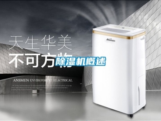 行业新闻除湿机概述