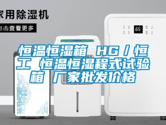 知识百科恒温恒湿箱 HG／恒工 恒温恒湿程式试验箱 厂家批发价格