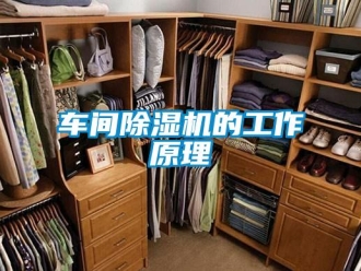 企业新闻车间除湿机的工作原理