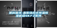 思科国祥-直膨组合式恒温恒湿机组SKFZ系列