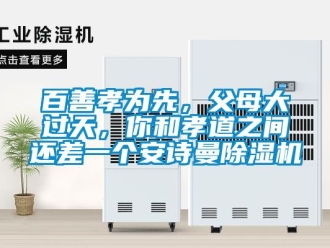 企业新闻百善孝为先，父母大过天，你和孝道之间还差一个安诗曼除湿机
