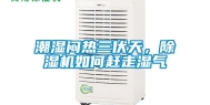 潮湿闷热三伏天，除湿机如何赶走湿气