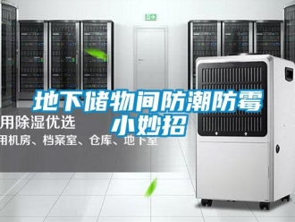企业新闻地下储物间防潮防霉小妙招