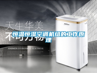 知识百科恒温恒湿空调机组的工作原理