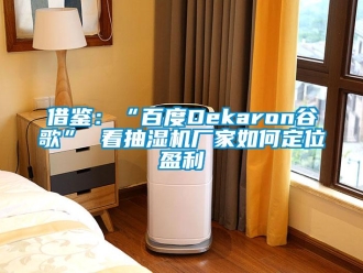 常见问题借鉴：“百度Dekaron谷歌” 看抽湿机厂家如何定位盈利