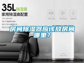 行业新闻房间除湿器应该放房间哪里？