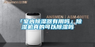 「室内除湿器有用吗」除湿机真的可以除湿吗