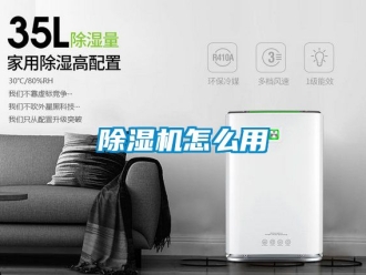 行业新闻除湿机怎么用