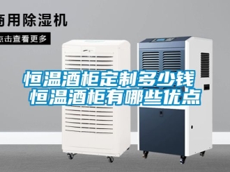 知识百科恒温酒柜定制多少钱 恒温酒柜有哪些优点