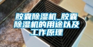 胶囊除湿机_胶囊除湿机的用途以及工作原理