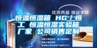 恒温恒湿箱 HG／恒工 恒温恒湿实验箱厂家 公司销售定制
