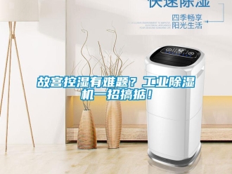 企业新闻故宫控湿有难题？工业除湿机一招搞掂！
