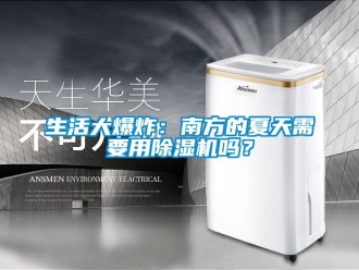 行业新闻生活大爆炸：南方的夏天需要用除湿机吗？