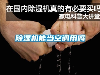 行业新闻除湿机能当空调用吗