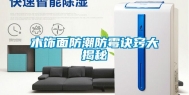 木饰面防潮防霉诀窍大揭秘