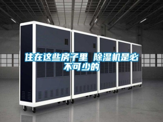 知识百科住在这些房子里 除湿机是必不可少的
