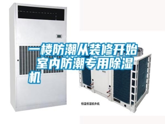 知识百科一楼防潮从装修开始 室内防潮专用除湿机