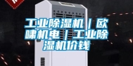 工业除湿机｜欧啸机电｜工业除湿机价钱
