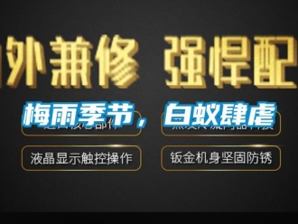 行业新闻梅雨季节，白蚁肆虐