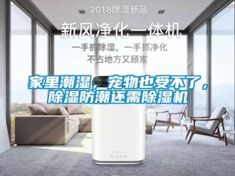 行业新闻家里潮湿，宠物也受不了，除湿防潮还需除湿机