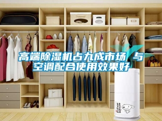行业新闻高端除湿机占九成市场 与空调配合使用效果好