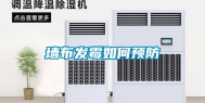 墙布发霉如何预防