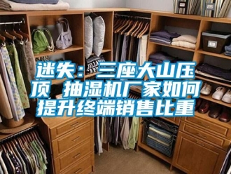 常见问题迷失：三座大山压顶 抽湿机厂家如何提升终端销售比重