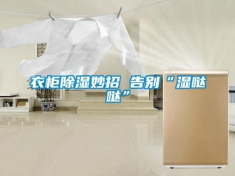 知识百科衣柜除湿妙招 告别“湿哒哒”