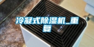 冷凝式除湿机_重复