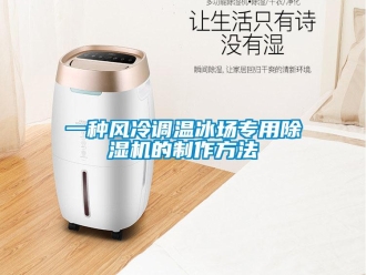 行业新闻一种风冷调温冰场专用除湿机的制作方法