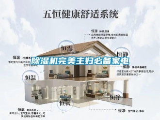 企业新闻除湿机完美主妇必备家电